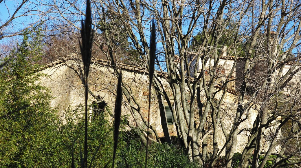 Can Pufarré (Alella)