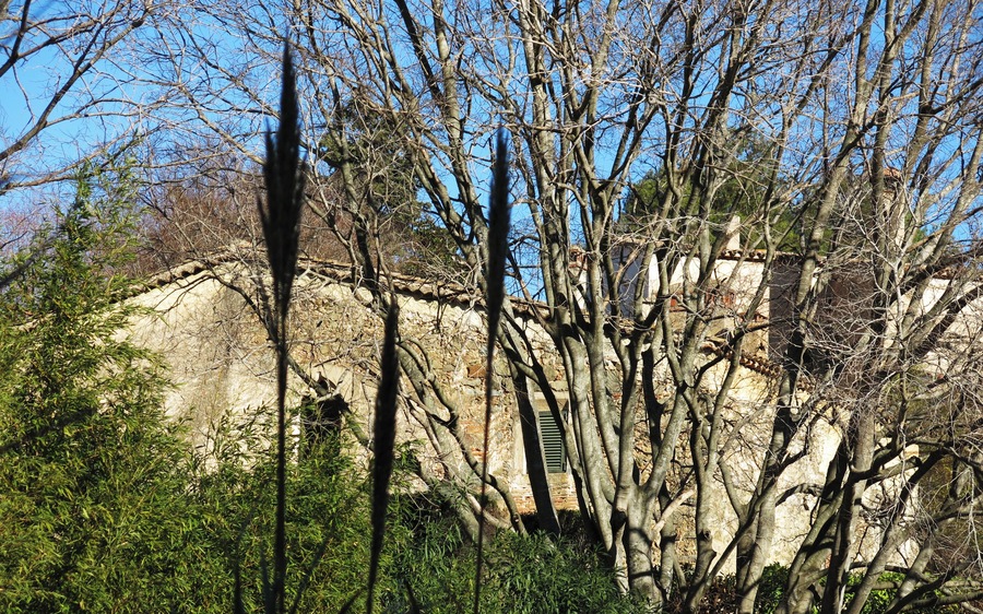 Can Pufarré (Alella)
