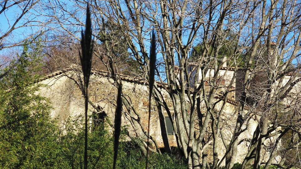 A rocky cliff with sparse vegetation and a building with a green shutter.