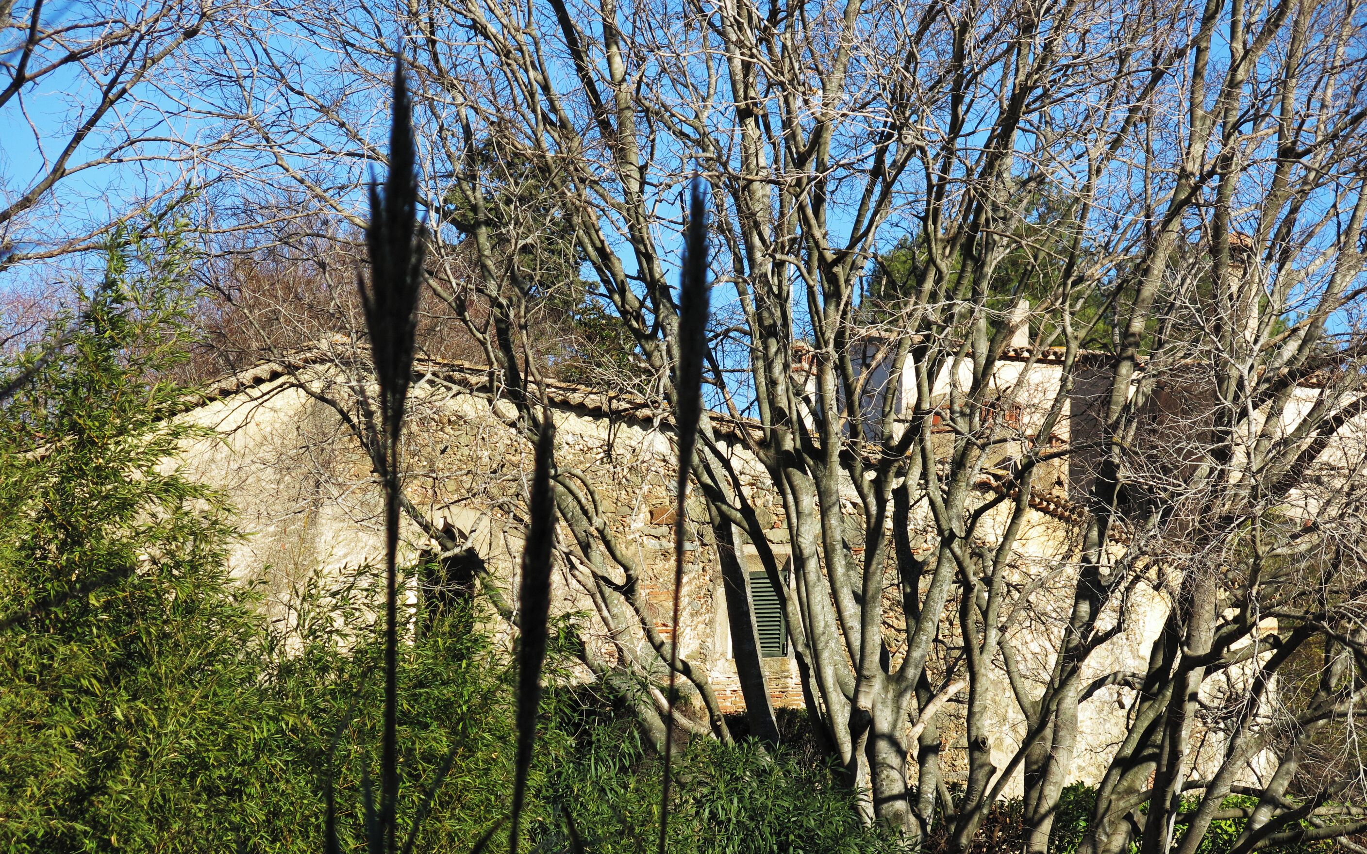 A rocky cliff with sparse vegetation and a building with a green shutter.
