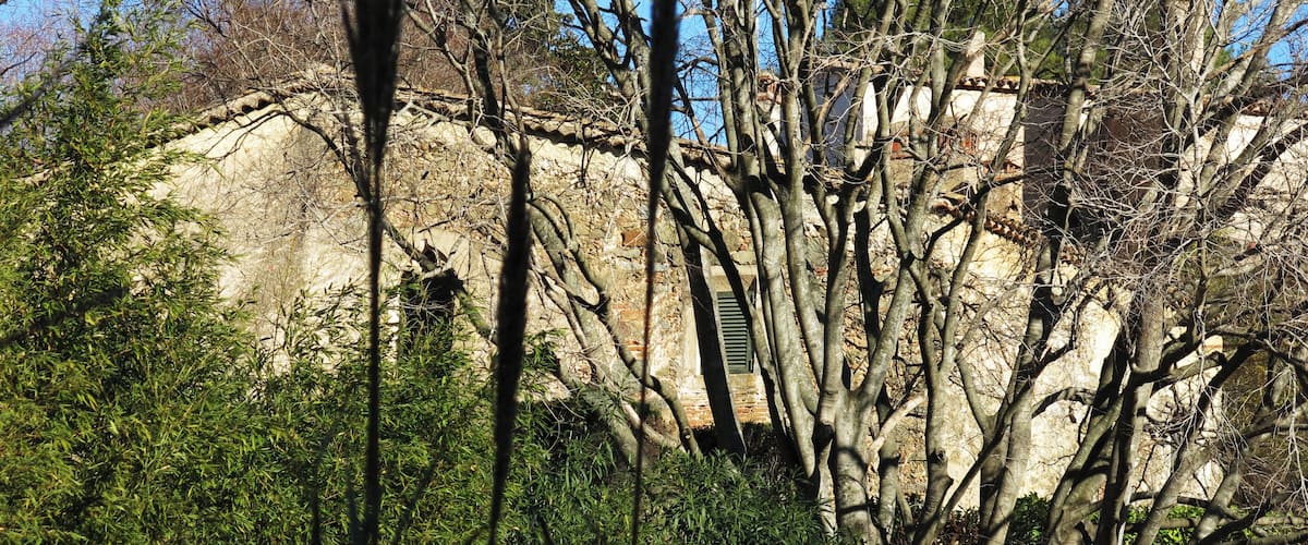 A rocky cliff with sparse vegetation and a building with a green shutter.