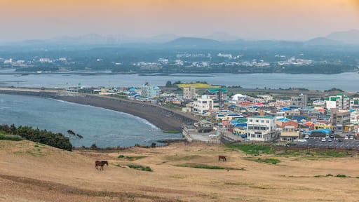 Jeju Island South Korea, Panorama city skyline of Seogwipo city view from Seongsan Ilchulbong