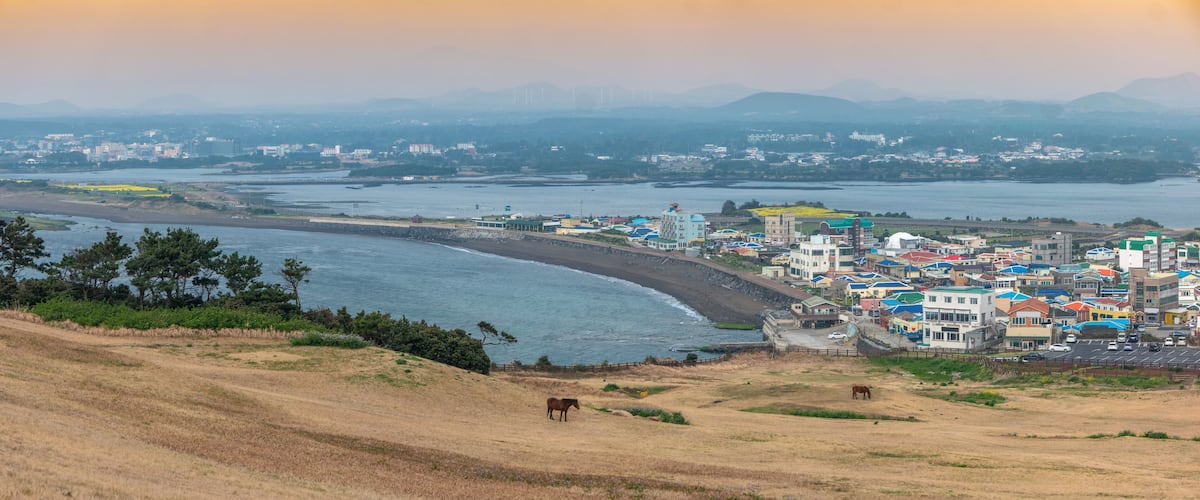 A coastal town with a beach, a horse grazing on a hill, and a cityscape in the background.