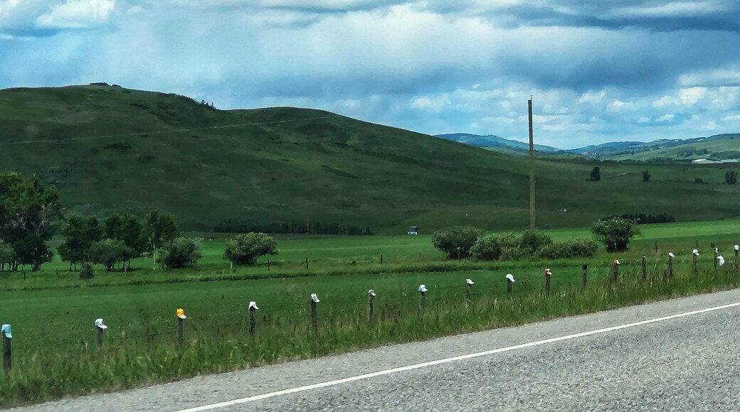 Caps/hats on fence posts along Hwy 22 (aka Cowboy Trail), south of Longview, Alberta.
#MyBackyard