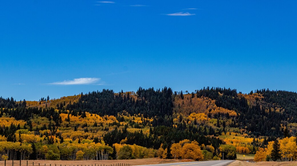 Condado de Foothills