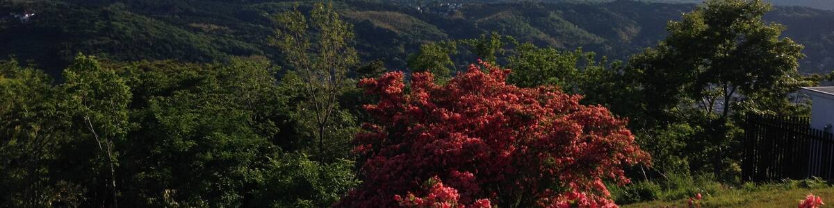 The Southwest view from Mount Komuro.