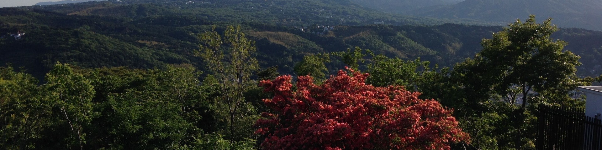 The Southwest view from Mount Komuro.
