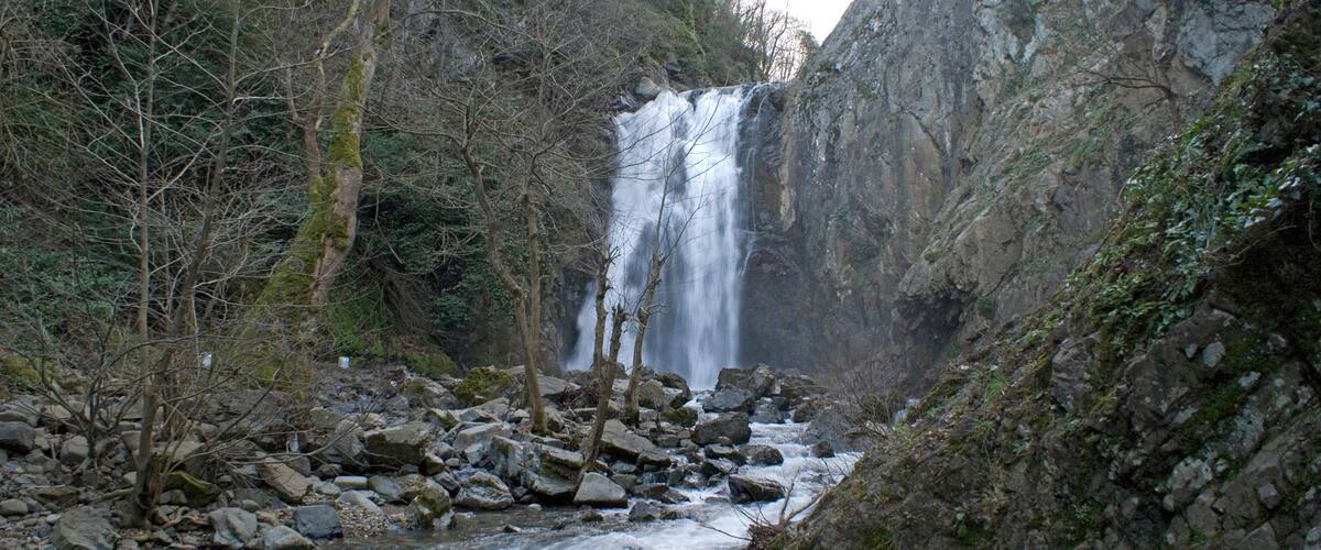 A waterfall in a forested area with a rocky riverbed.