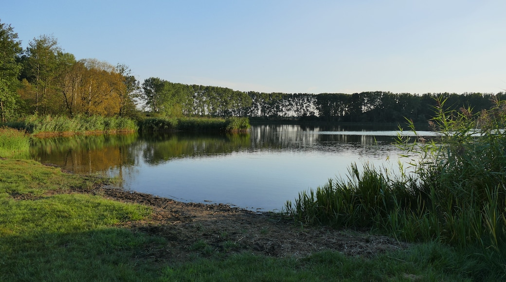 Badestelle am Pelsiner See, Blick auf das östliche und südliche Ufer