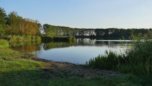 Badestelle am Pelsiner See, Blick auf das östliche und südliche Ufer