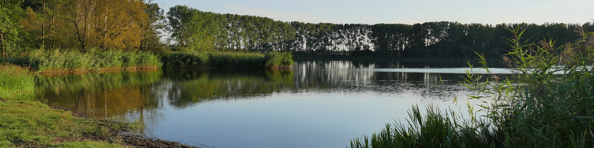 Badestelle am Pelsiner See, Blick auf das östliche und südliche Ufer