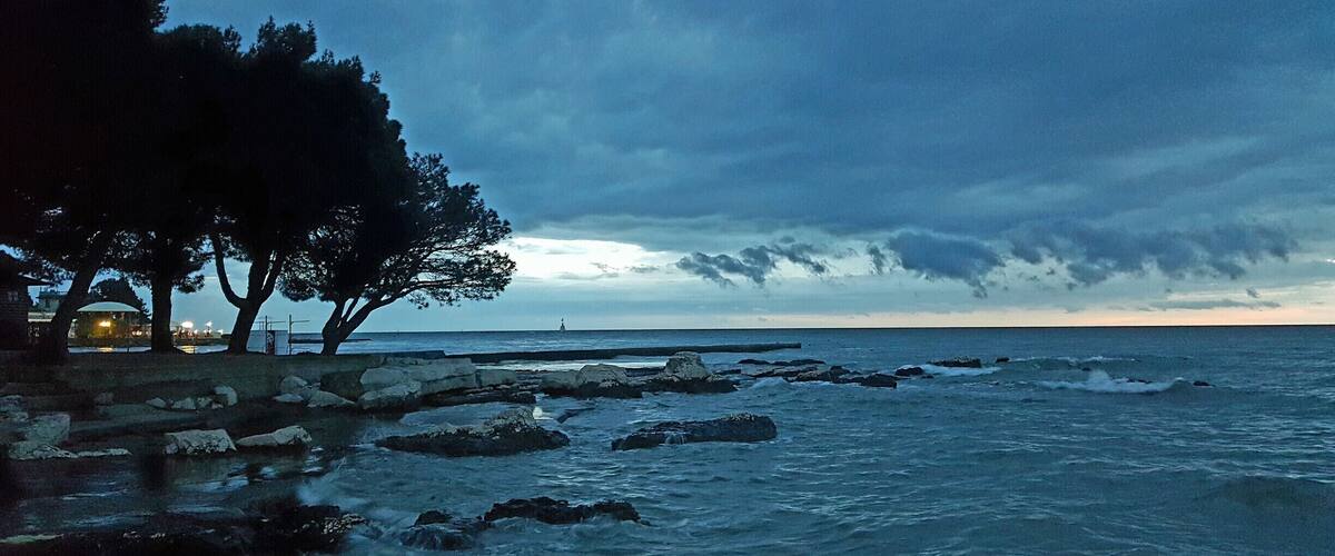A rocky shoreline with trees and a lighthouse in the distance.