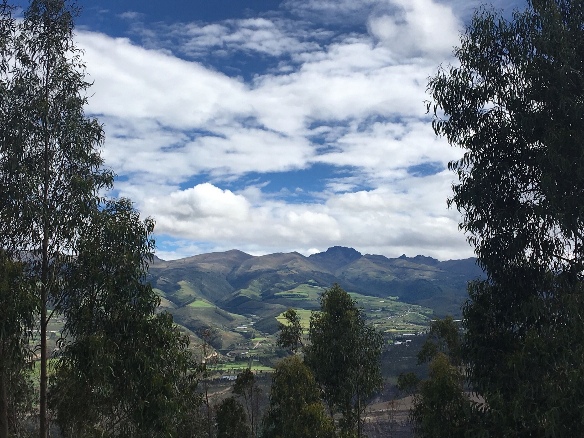 A valley with mountains in the background and trees in the foreground.