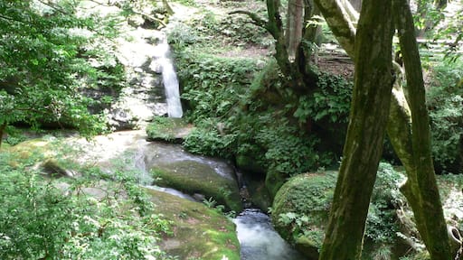 ๅฃ็ซๅณก