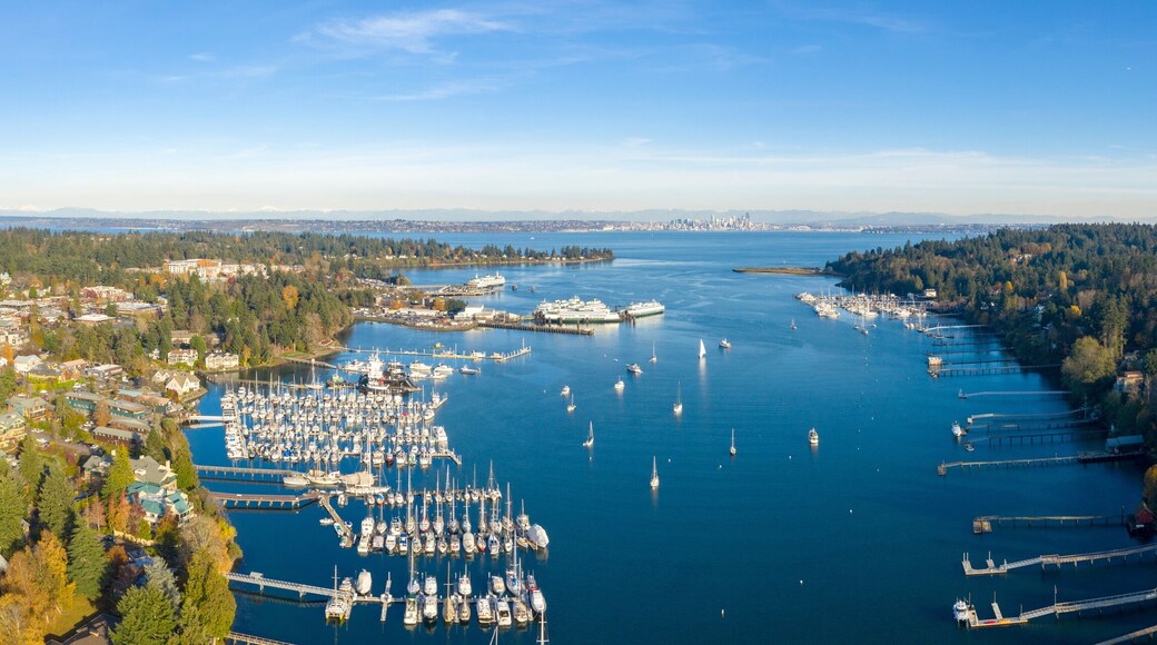 มาโดรนาไฮท์ส