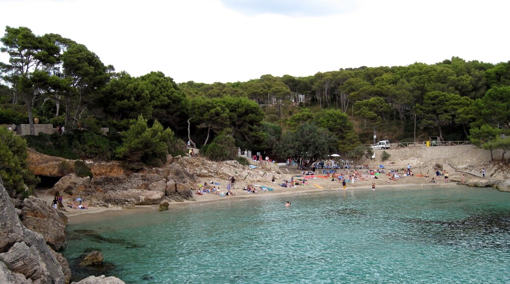 Cala Gat, Bucht bie Cala Rajada, Gemeinde Capdepera, Mallorca, Spanien