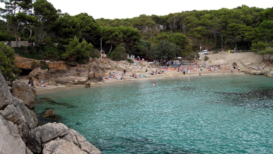 A coastal beach with clear turquoise water, rocky shoreline, and dense green trees in the background.