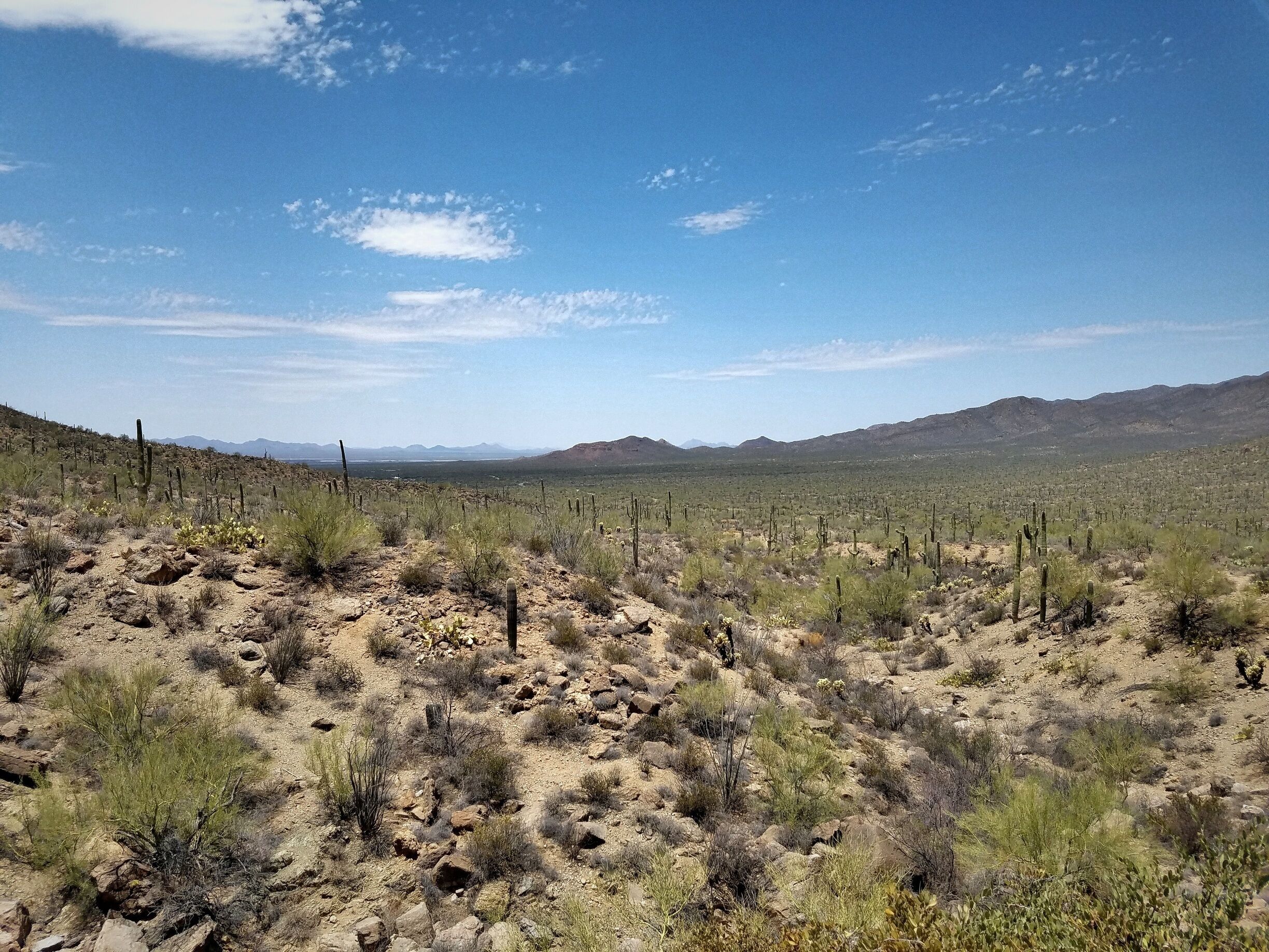 Beautiful desert view