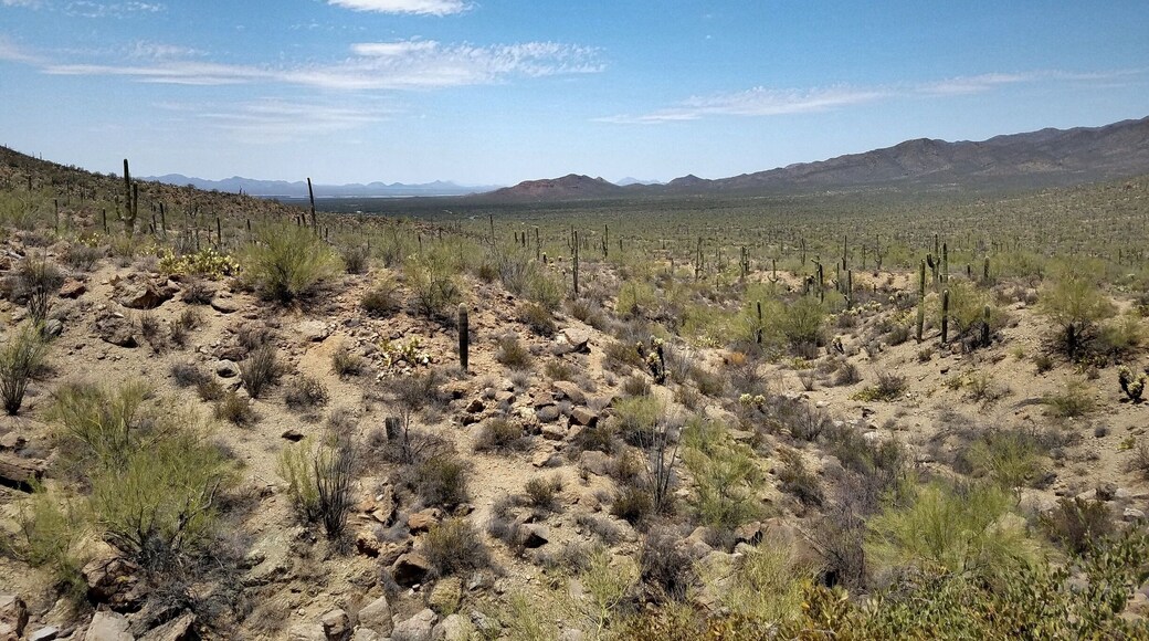 Beautiful desert view