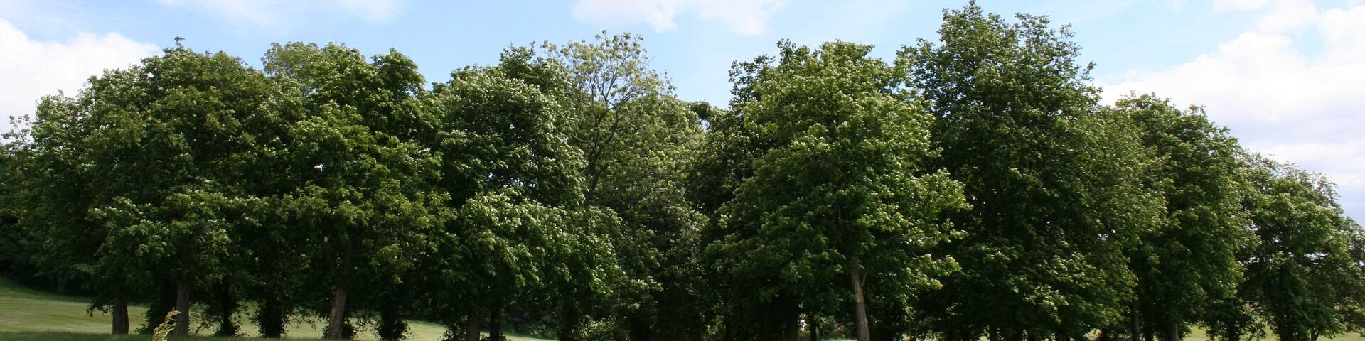 Longly Park, Sheffield