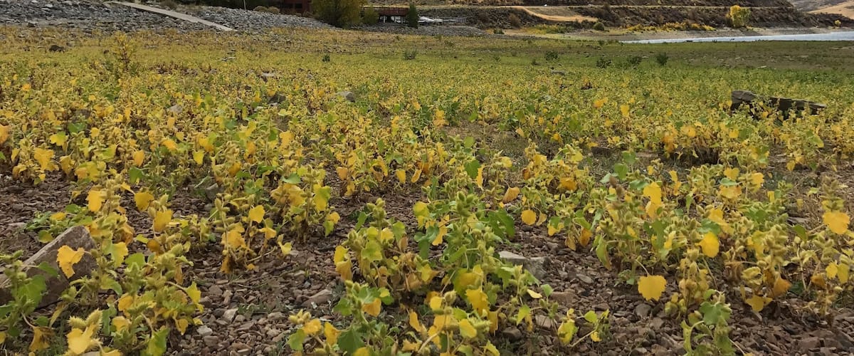 A nice spot by the lake just 10 minutes drive out of Provo, UT.