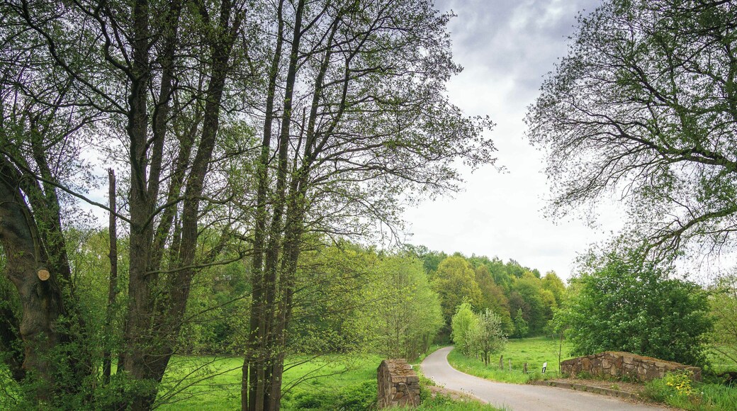 Brücke über den Schanzenbach unterhalb der Leithenmühle in Richtung Meuselwitz im Leisnig OT Brösen