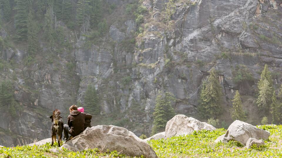 A person with a dog on a rocky mountain ledge, surrounded by greenery and a steep cliff.