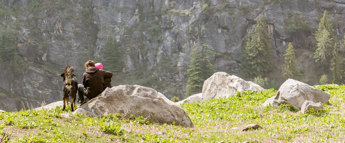 A person with a dog on a rocky mountain ledge, surrounded by greenery and a steep cliff.