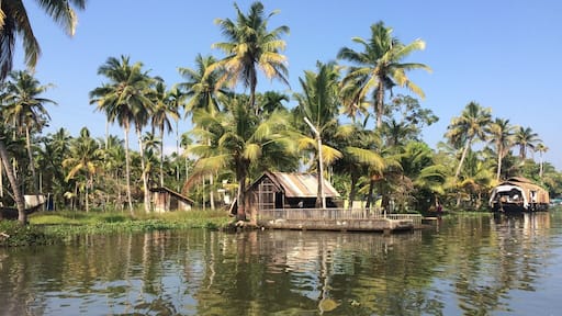 #india #Kerala God's own country #Alleppey