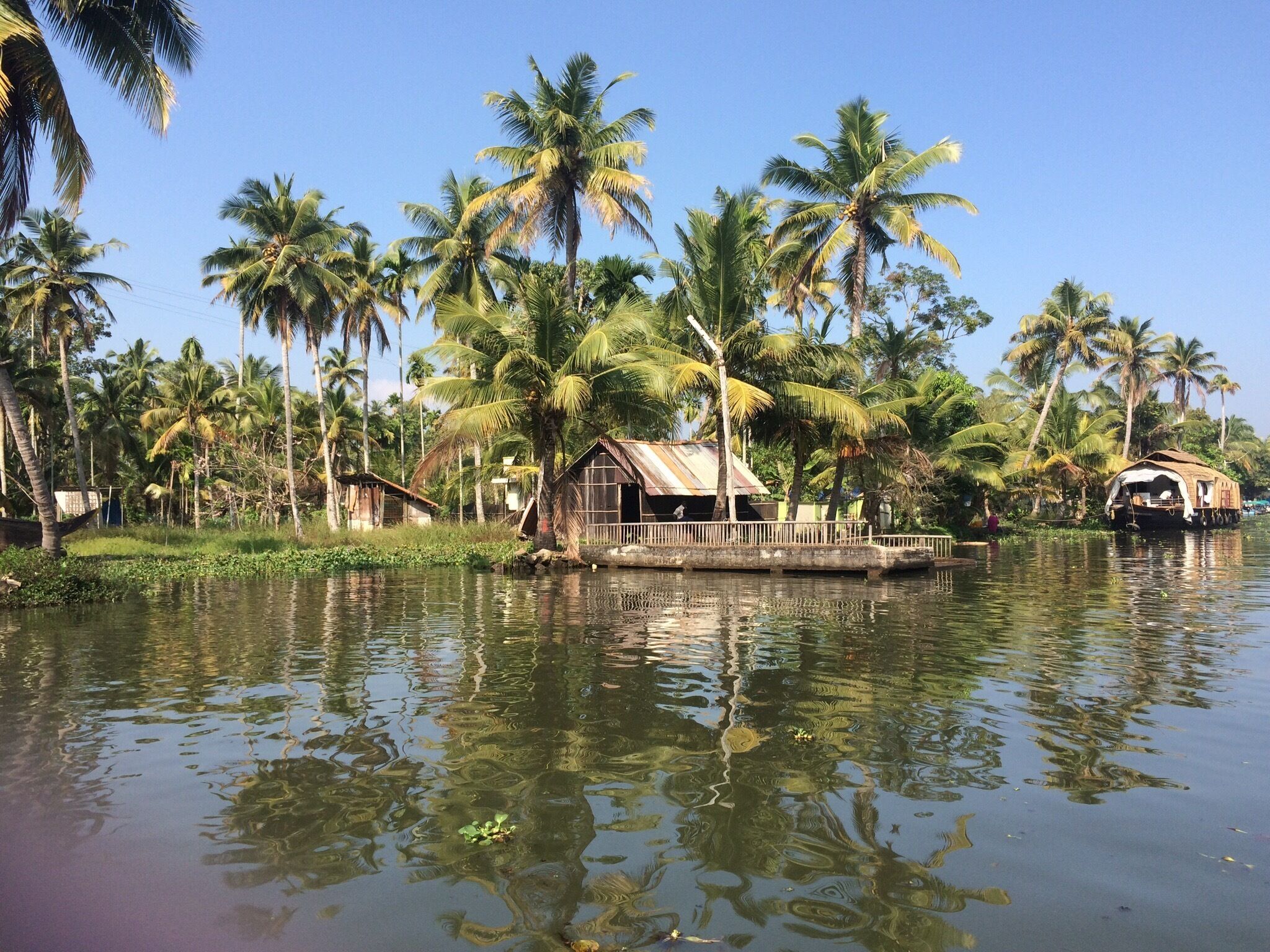A waterway with floating houses, palm trees, and a clear sky.