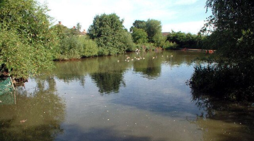 Millers Pond, Shirley, Croydon. An ornamental pond in a small park, Millers Pond was one of three ponds near a house called Spring Park which was also the name of the surrounding estate. Access from Shirley Way, Farm Lane and Worcester Close.