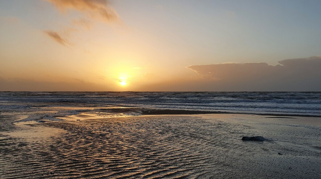 ์ ํธ ๋ง๋ฅดํ
์ค์ ์ด