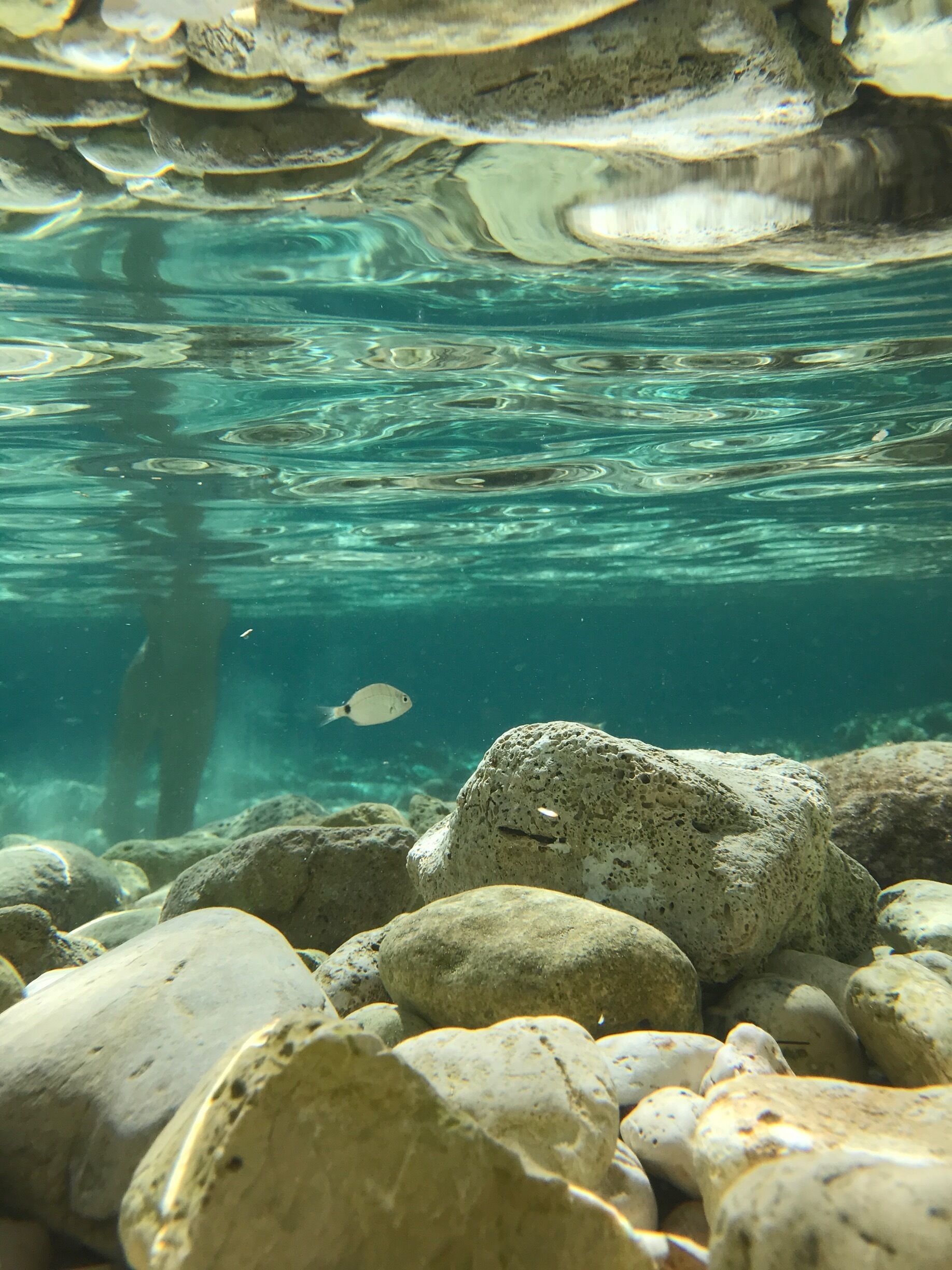 Same place I described before 
Wonderful and clear water! Perfect for diving and snorkeling 