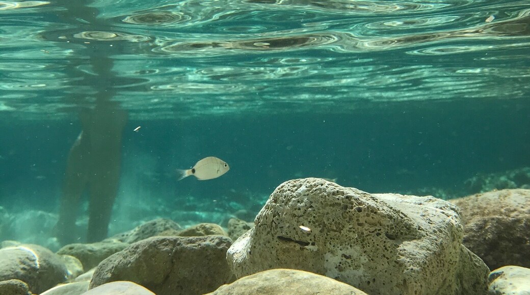 Same place I described before
Wonderful and clear water! Perfect for diving and snorkeling