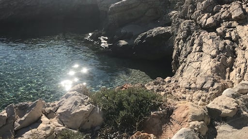 بوتيرنا