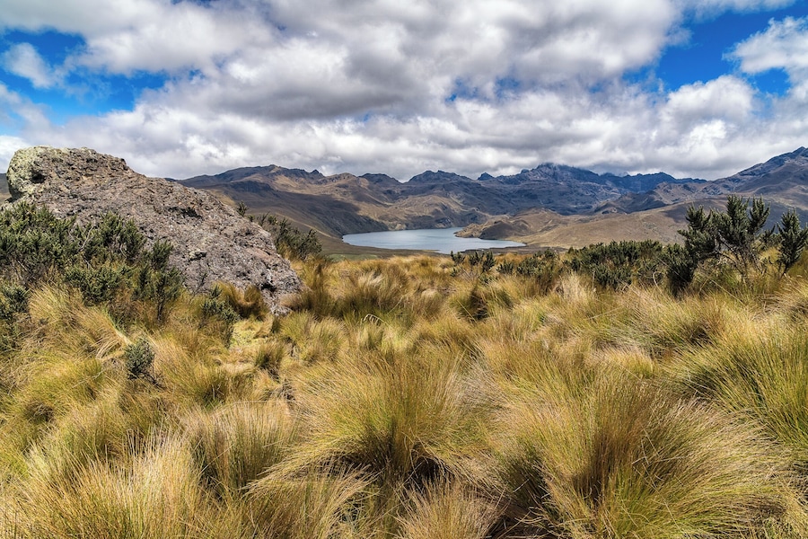 View of the Lagunas de Ozogoche in Sangay National Park, Ecuador. A side trip off the route between Banos and Cuenca, this spot is a hidden gem that hasn't yet caught the attention of most tourists or tour operators.