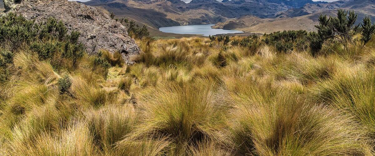 A mountainous landscape with a lake and grassy terrain.