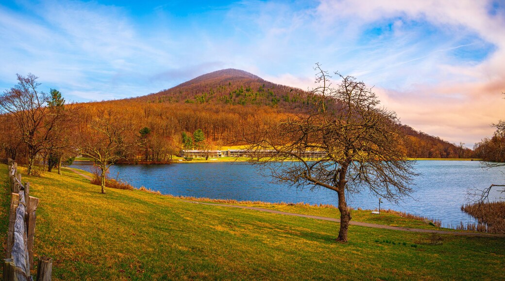 貝福德史普林斯