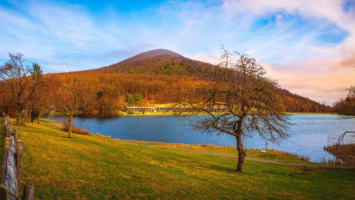 بدفورد سبرينجس