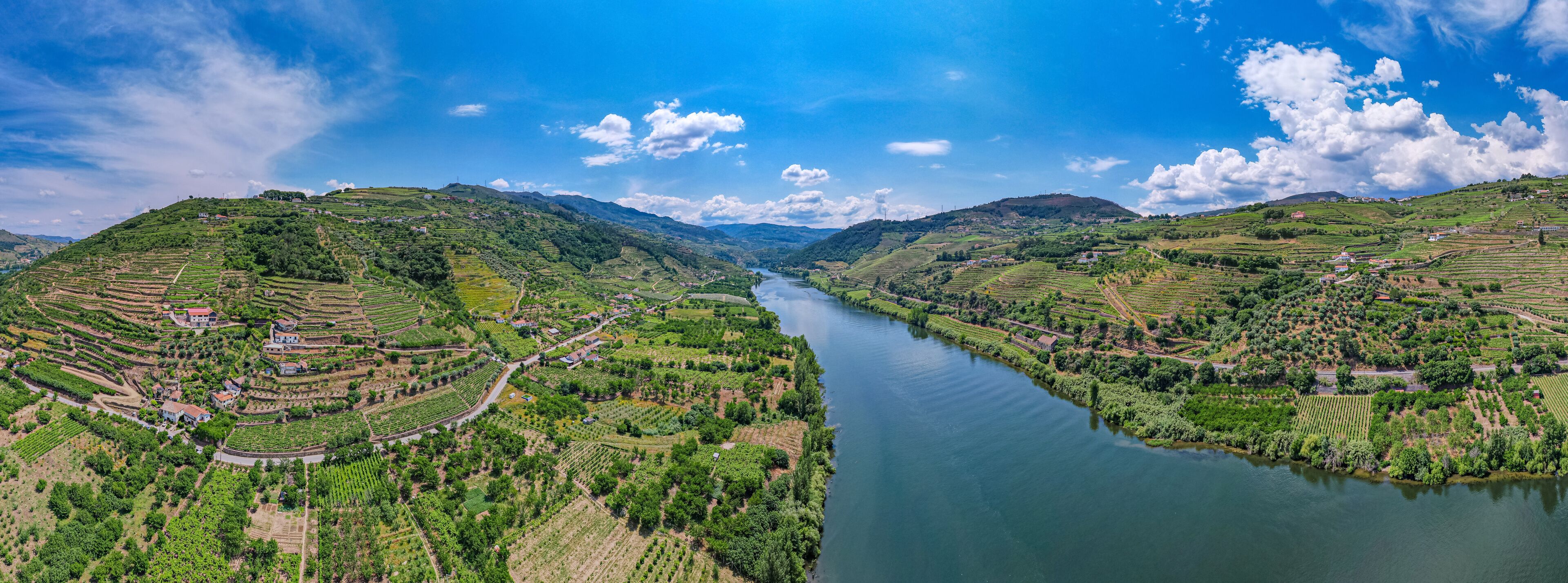 Oliveira do Douro