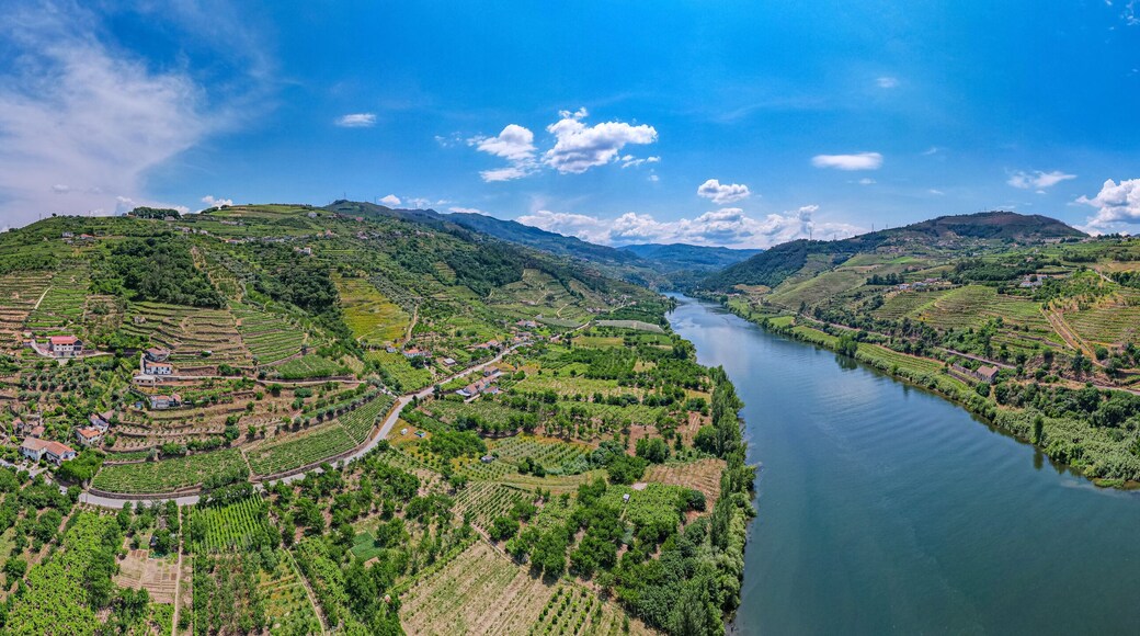Aerial view of Vineyards on the banks of the Douro river in Portugal near the village of Pinhão - Porto wine Production