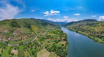 Oliveira do Douro
