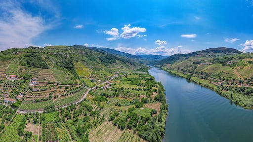 Um vale fluvial com vinhedos em socalcos e um céu azul límpido.