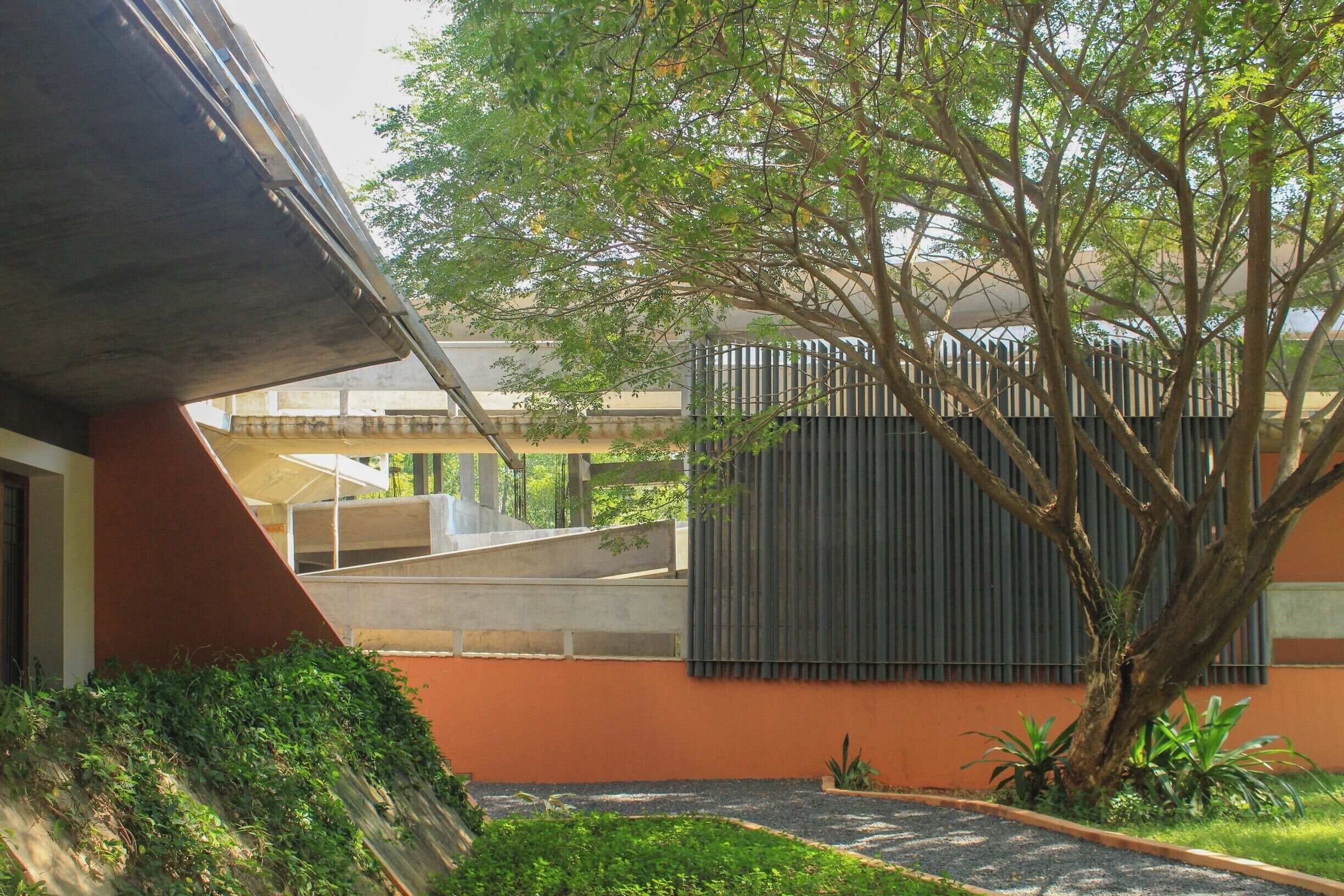 A modern building with a sloped roof, a tree, and a pathway.