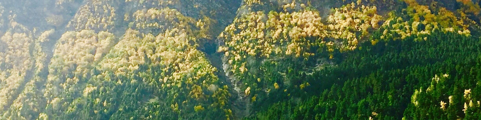 Autumn is a nature's way of telling .. how beautiful is it to let things go !!
#autumn #highway #mountainpass