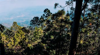 panoramic view celaque summit