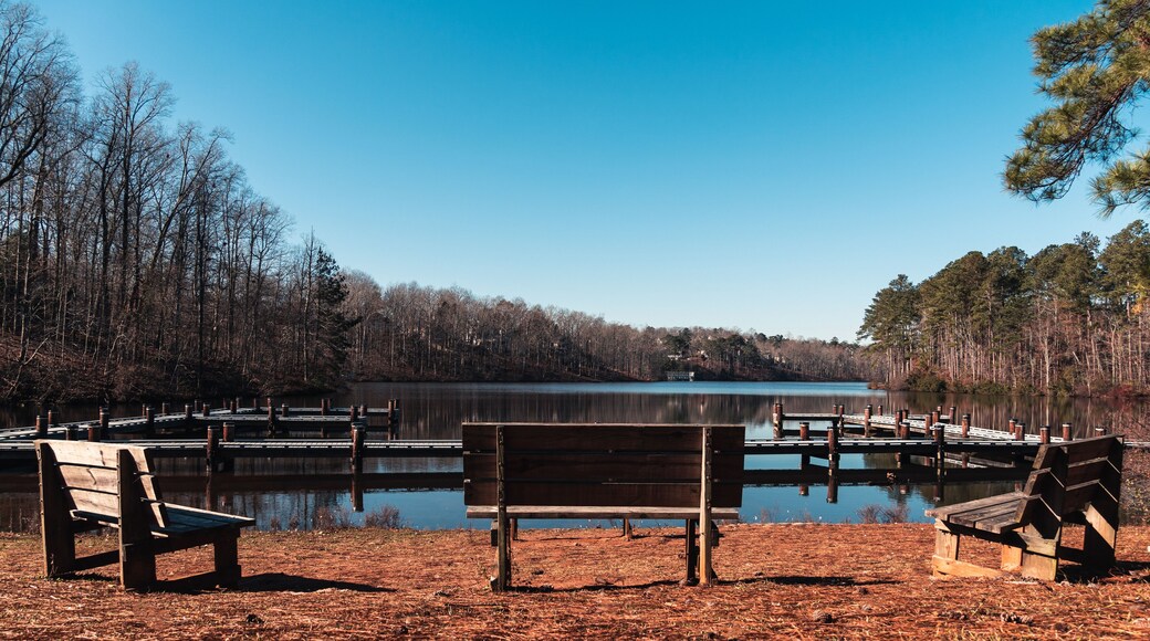 lake view at Georgia peach tree city