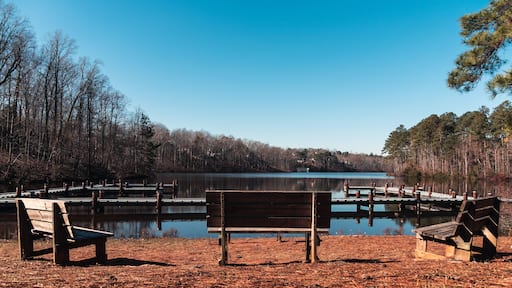 lake view at Georgia peach tree city