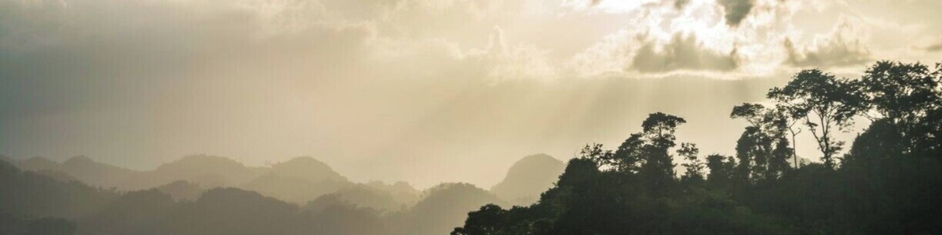 Jungle sunsets at Chiapas, Mexico.