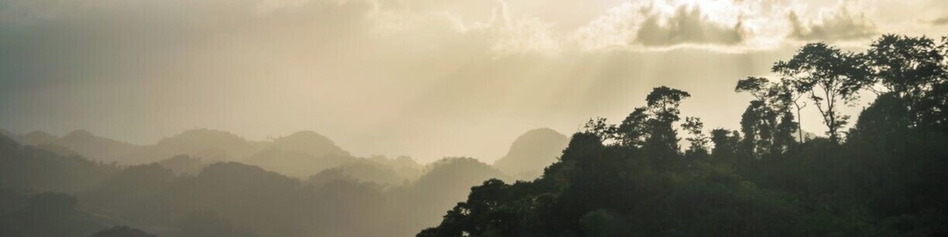 Jungle sunsets at Chiapas, Mexico.